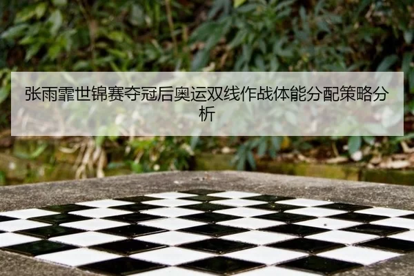zhang-yu-fei-shi-jin-sai-duo-guan-hou-ao-yun-shuang-xian-zuo-zhan-ti-neng-fen-pei-ce-lve-fen-xi-2-221.jpg
